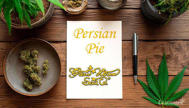 Гроурепорт сорта Persian Pie от Green House Seeds