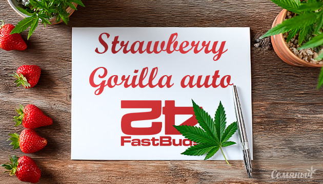 Гроурепорт Strawberry Gorilla Auto fem от FastBuds