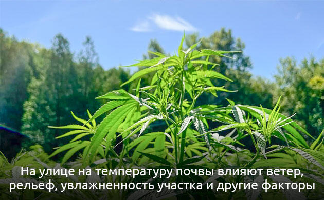 Окружающая среда