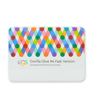 Gorilla Glue #4 Fast Version fem (Easy Grow Seeds)